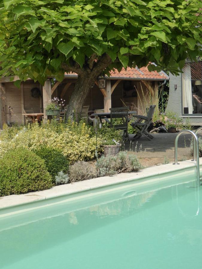 Bed and Breakfast De Epicurist Hasselt Exterior foto